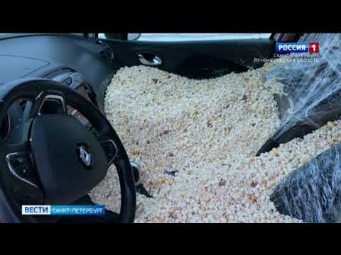 Авто каршеринговой компании, полное попкорна, озадачило петербуржцев