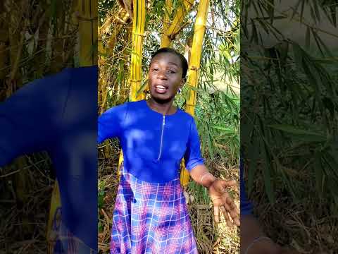 My Cheapest ways of controlling Soil Erosions  #farming #gardening #backyardgardening