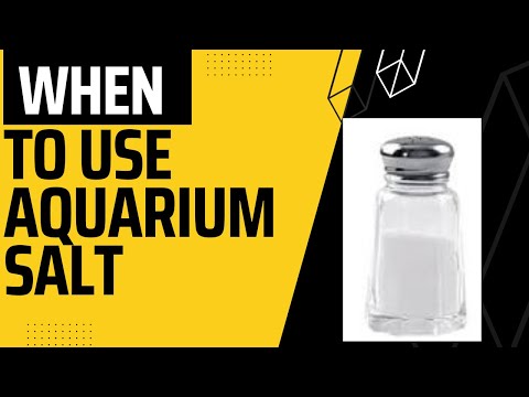when you should use salt in aquarium 