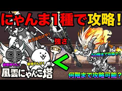 獄炎鬼にゃんまだけでにゃんこ塔攻略！最終階まで進めるか検証【にゃんこ大戦争】 サムネイル