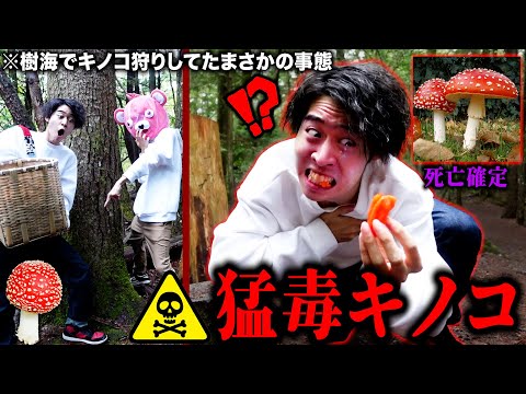 【危険】樹海でキノコ狩りしてたら『毒キノコ』を食べてメンバーが死にかけた。