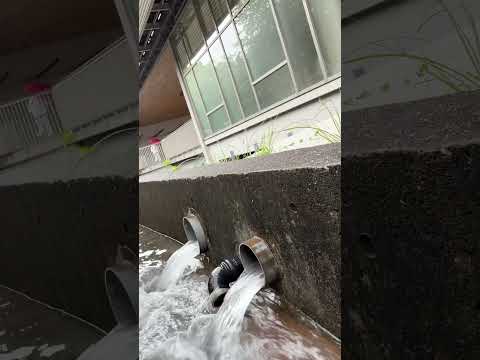 See Kobe U - 雨上がり / After the rain
