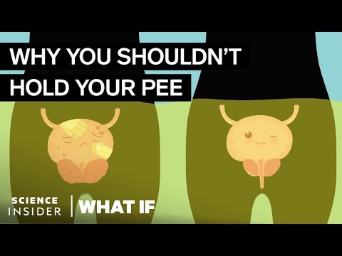 What Happens If You Hold Your Pee In For Too Long - UC9uD-W5zQHQuAVT2GdcLCvg