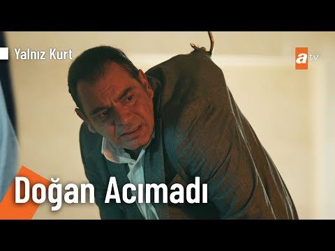 Doğan usulü sorgulama! - @Yalnız Kurt 21. Bölüm