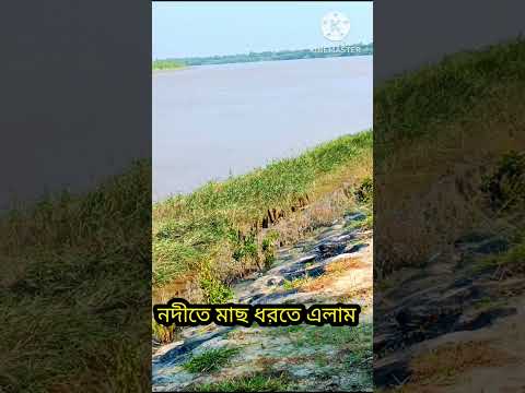 🌊নদীতে মাছ ধরতে গেলাম🌿#shorts #shortvideo#shortsfeed#viral#riverfishing #fishing#fisherman#sundarban