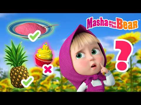 Masha and the Bear 2026 🤔 Guess the Food❓Best episodes cartoon collection 🎬