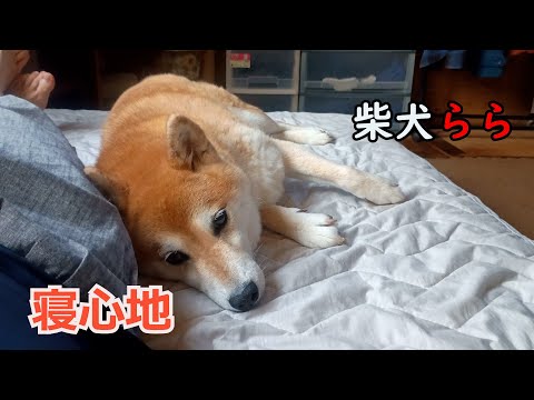 寝心地