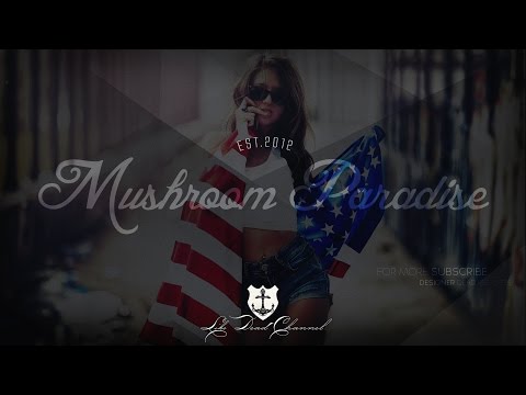 Felxprod - Mushroom Paradise (Original Mix) - UCUavX64J9s6JSTOZHr7nPXA