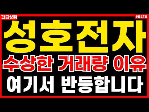 [성호전자 주가 전망] 거래량 폭등의 이유 여기서 반등합니다 *성호전자 주주분들 필수시청