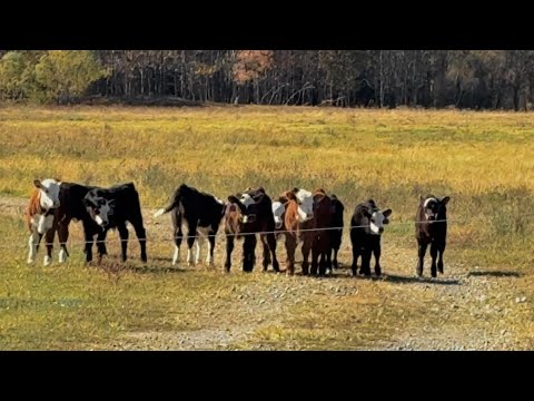 BEHIND THE SCENES FOOTAGE