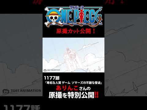 アニメ「#ONEPIECE」見放題配信への追加は木曜日‼️1177話‼️ #onepiece #原撮