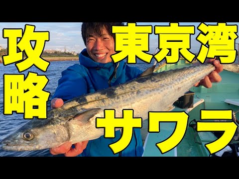 東京湾のサワラを攻略。やはりブレードが最強か！？