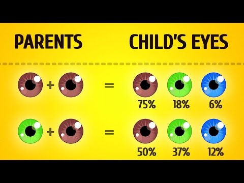 Here's What Your Baby Will Look Like - UC4rlAVgAK0SGk-yTfe48Qpw