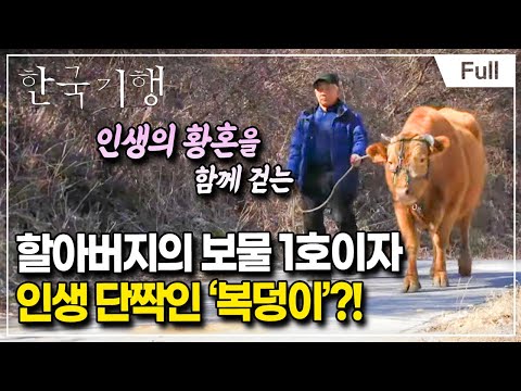 [Full] 한국기행 - 네가 있어 참 좋다 3부 내 인생 복덩이