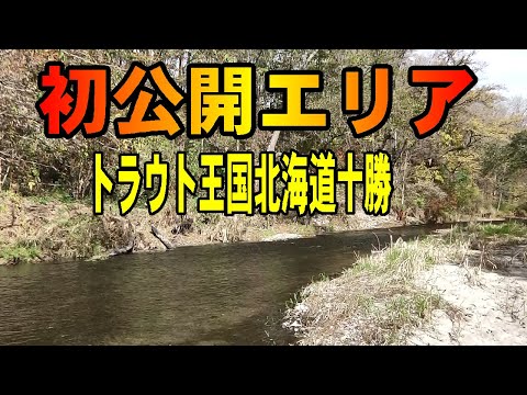2025.10.22 初公開エリアの釣り トラウト王国北海道十勝の釣り つり部会ガイドサービス