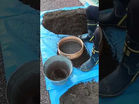 25.10.28🌱家庭菜園🌱明日以降雨☔の前に忙しく土作り😆