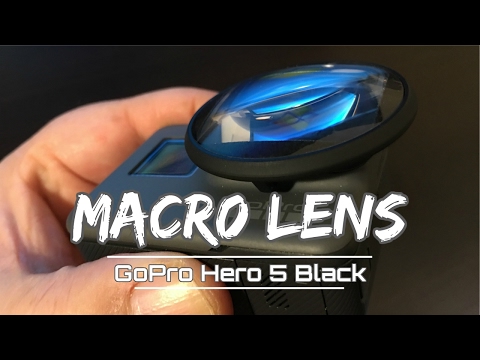 Macro Lens for GoPro Hero 5 Black | Test Footage Included - UCoKMBuQ8YejlCbNm77ZL8jg