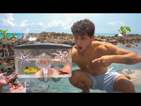 Tide Pool FISH TRAP Catches EXOTIC SEA CREATURES!! In this video, We place a fish trap in a tide pool overnight and end up catching exotic sea creature