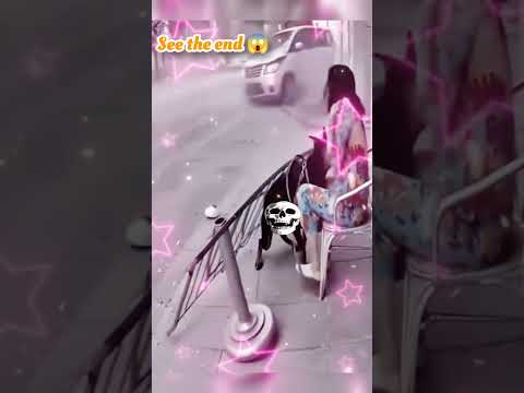 wait for end 😱 #trending#animals#wildlife#lion#shorts#youtube