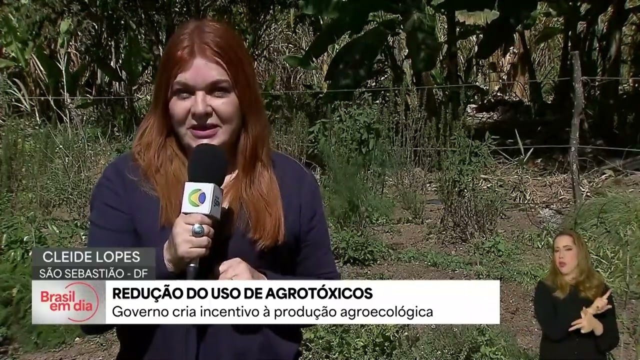 Programa cria procedimentos para reduzir o uso de defensivos agrícolas tóxicos