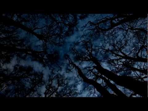 Devil sold his soul - Hope