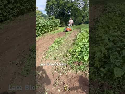 Beating back weeds! #growflowers