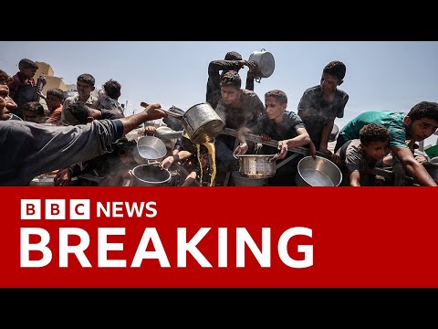 Famine 'currently playing out' in Gaza, UN-backed experts warn