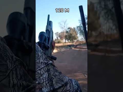 DE CAZA! UMAREX GAUNTLET 2 5.5 #airgun #umarexairguns #Mexicali #ensenada #sanluisriocolorado #tj