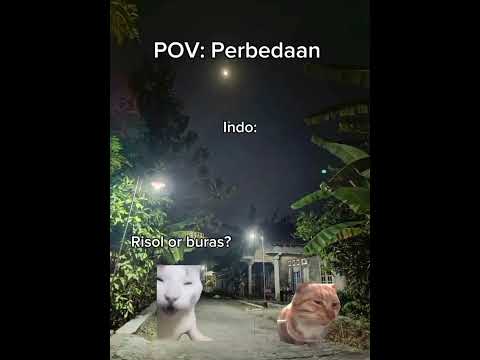 Konoha👍🏻🗿 #fypviral #cat #meme #fypppp #kucing