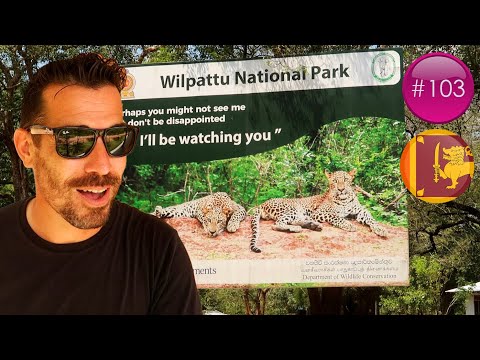 J'AI VU UN LÉOPARD AU SRI LANKA ! ???????? | WILPATTU | ...