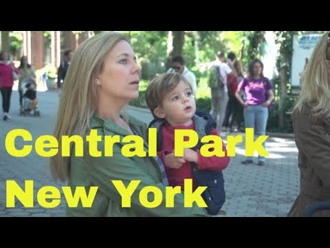 Central Park, Manhattan, New York City - UCvW8JzztV3k3W8tohjSNRlw