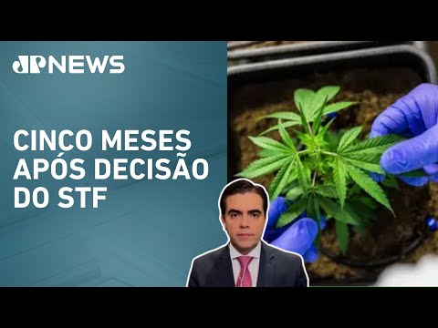 CNJ começa mutirão para rever prisões de usuários de drogas; Vilela analisa