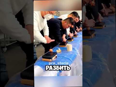 😱 САМОЕ ХИТРОЕ ИСПЫТАНИЕ Закрой устройство до щелчка, НЕ РАЗБИВ ЯЙЦО! Кто справится?