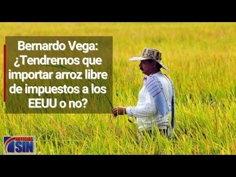 Bernardo Vega: ¿Tendremos que importar arroz libre de impuestos a los EEUU o no?