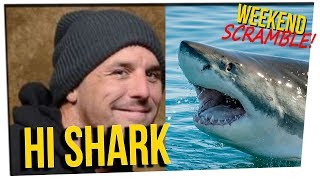 WS - Man Jumps Into a Shark Tank ft. Steve & Nikki, DavidSoComedy
