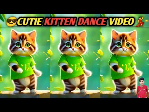 😎😎CUTE KITTEN🐈DANCE💃|😎😎क्यूट कीटैन🐈डांस💃| #cat #catvideo #funny #cute #animaldance #comedy #catdance