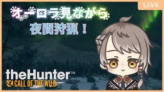 参加型 【 theHunter: Call of the Wild 】オーロラを眺めながら夜間狩猟しよ！ 【 #小梟の狩猟生活 / #vtu