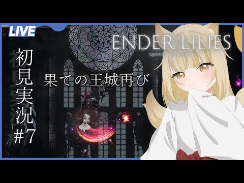 thumbnail_KIR0u-xffvE