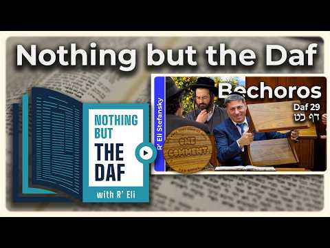 CHAZARAH - Bechoros Daf 29 | "Nothing but the Daf" with R' Eli Stefansky