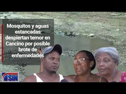 Alegan que el chikungunya y dengue los amenazan