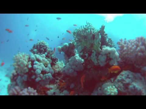 GoPro Hero HD, Unterwasser Test - UCKfOKeB9-S8QGcf6McRviOw