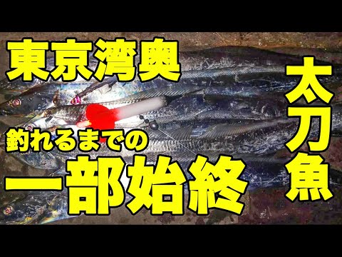 【東京湾奥】太刀魚を電気ウキとテンヤで狙う。二刀流で釣果倍増！？