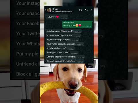 #memes #story #dog #shorts #pets