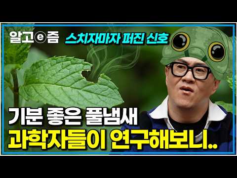 과학자들이 경악한 1초 뒤 반응｜<strong>취미는</strong> 과학｜알고e즘