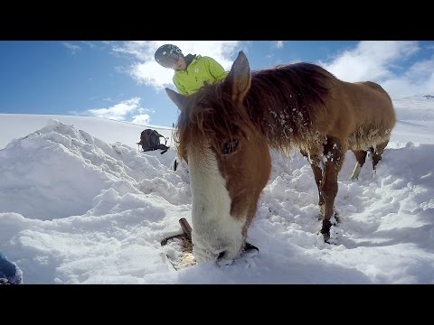 GoPro: Chilean Horse Rescue - UCqhnX4jA0A5paNd1v-zEysw