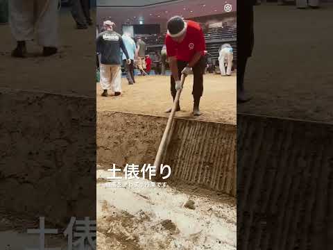 土俵は全て手作業で作る！　土俵築　＜令和7年九月場所前＞SUMO  #shorts