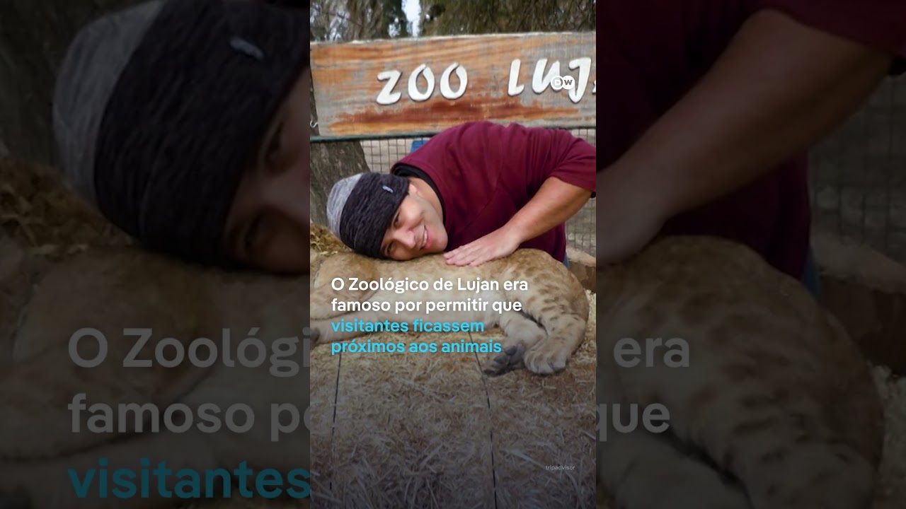 Missão resgata animais abandonados em zoológico argentino TV Online Missão resgata animais abandonados em zoológico argentino