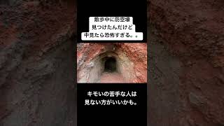 散歩中に防空壕見つけたんだけど中が完全に無法地帯だった...  #防空壕　#一人旅　 #shorts