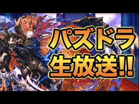 【生放送】あっき〜と裏魔廊で爆速プラス集めするぞ！！！！！【スー☆パズドラ】