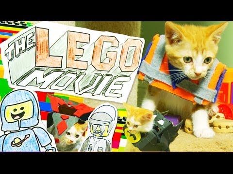 The LEGO Movie (Cute Kitten Version) - UCPIvT-zcQl2H0vabdXJGcpg